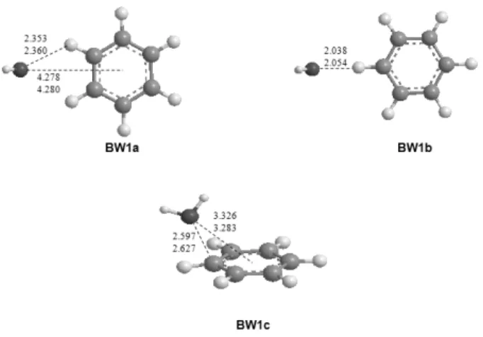 Fig. 1. Optimized structures of C 6 H 6 + -H 2 O at the B3LYP/aug-cc-  pVDZ and B3LYP/aug-cc-pVTZ levels of theory