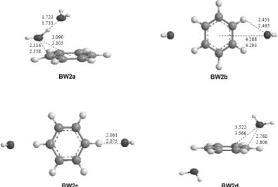 Fig. 2. Optimized structures of C 6 H 6 + -(H 2 O) 2  at the B3LYP/aug-cc- pVDZ and B3LYP/aug-cc-pVTZ levels of theory