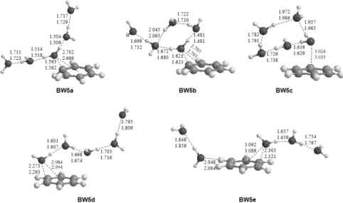 Fig. 5. Optimized structures of C 6 H 6 + -(H 2 O) 5  at the B3LYP/aug-cc-pVDZ and B3LYP/aug-cc-pVTZ levels of theory