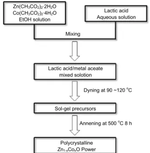 Fig. 1. Synthetic procedure of polycrystalline Zn 1-x Co x O powders by the lactic acid-assisted sol-gel method.