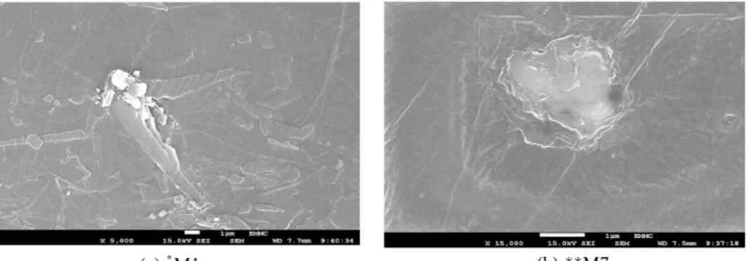 Fig. 1. SEM image of samples.