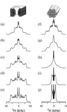 Fig. 1. Simulated  2 H SSNMR spectra of POPC_d 31  (a-e) in the  angular mosaic distributions of bilayers and (f-j) in the isotropic  phases