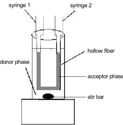 Fig. 1. Schematic illustration of HF-LPME.