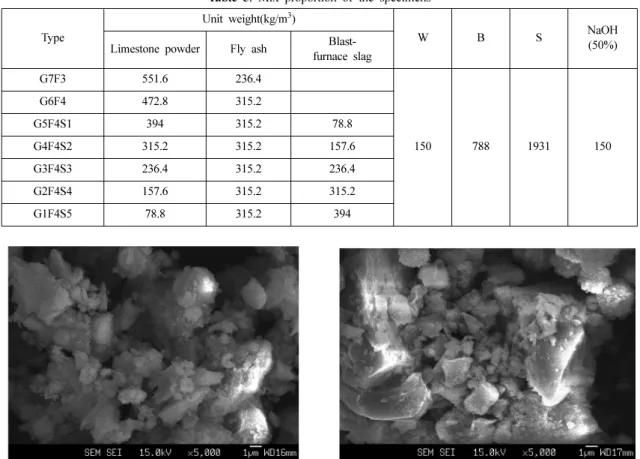 Fig. 2. FE-SEM Image of G6F4. 