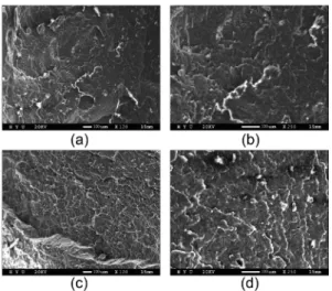 Fig. 5. Cryogenic Fracture Surfaces of ABS/PE Blends: (a) 50/50: × 120, (b) 50/50: × 250, (c) 20/80: × 120, (d) 20/80: × 250.