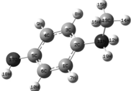 Fig. 1. The molecular structure of metol.