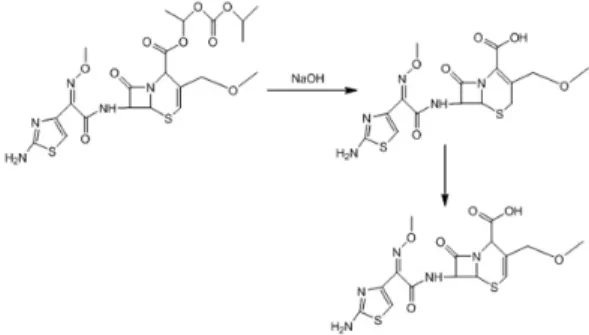 Fig. 2. Degradation Pathway of Cefpodoxime Proxetil to Cefpodoxime acid.