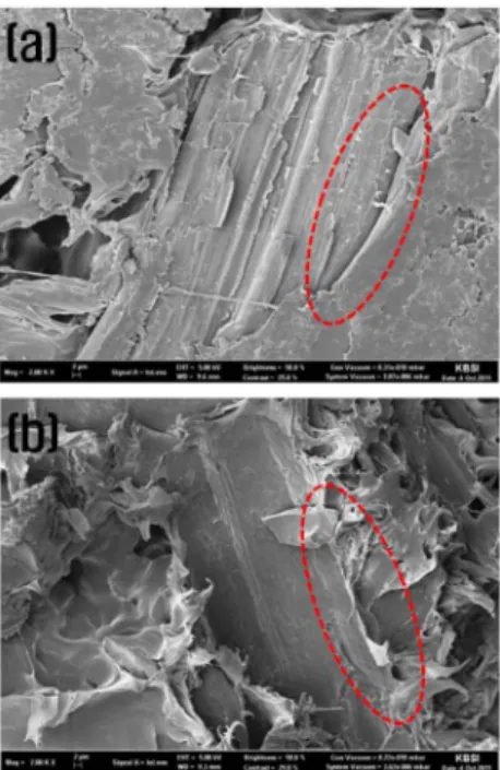 Fig. 4. SEM of WPCs section (a) non-plasma treatment (b) plasma treatment. ㎘ 㜟 㜟 • ೿ړద⹿ٶ ᧖ዢ₶ῶ⹿آ ⹿᧒ • ೿ړద⹾ٶ ᧖ዢ₶ῶ⹿آ ᩃ᧒ • ⼪⃒ ೿ړద⹿ٶ ݖת؛⹿آ ᔻ᧒ آ℻ 㷺 㿅 㮔 • ᩂ῞ద⹿ٶ ܮ᪳؛⹿آ ⹿᧒ • U.C
