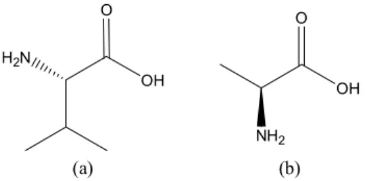 Fig. 1. Structures of (a) Valine and (b) Alanine.