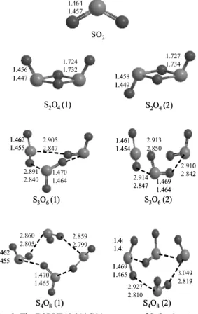 Fig. 2. The B3LYP/6-311G** structure of S n O 2n  (n = 1∼