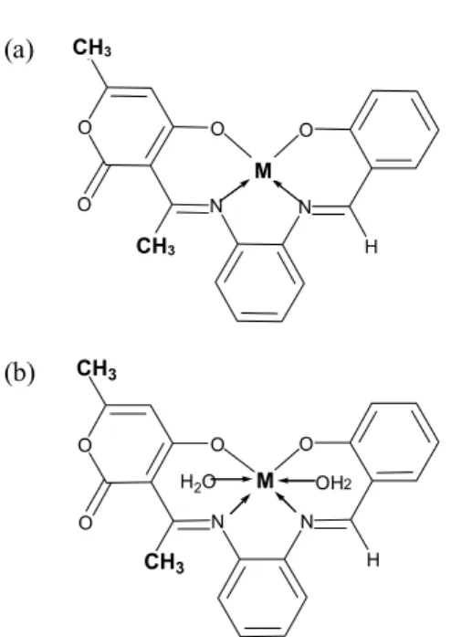 Fig. 2. The proposed structure of the complexes: (a) when  M = Cu(II) and Ni(II); (b) when M = Co(II), Mn(II) and  Fe(III).