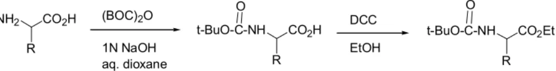 Fig. 1. Preparation of racemic and (L)-N-BOC protected α-amino acid and its ethyl ester.