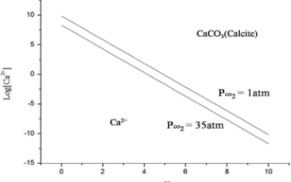 Fig. 13 은  용액  중의 Ca 2+ 농도와 pH 간의  관계에 따른 Ca 2+ 과 CaCO 3  (calcite) 의 phase boundary를  보 이고  있다