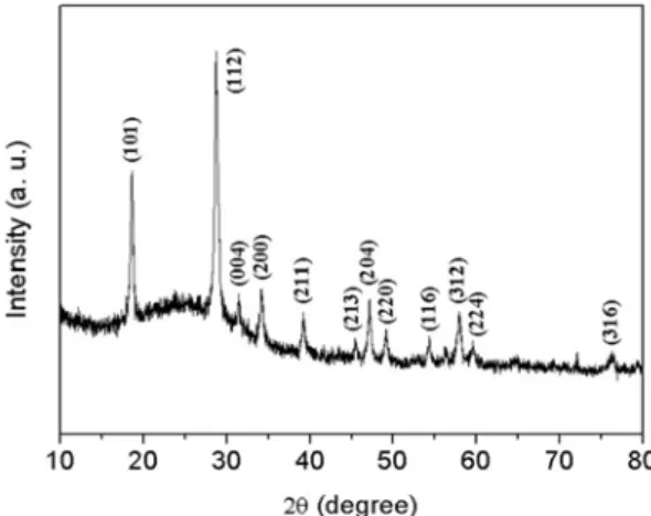 Fig. 1. XRD patterns of CaWO 4  crystal synthesized using a microemulsion method at w = 10.