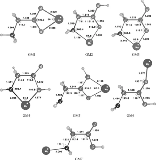 Fig. 2. Optimized structures at B3LYP/6-311++G(d,p) level of theory of Mg 2+ -glycine complexes.
