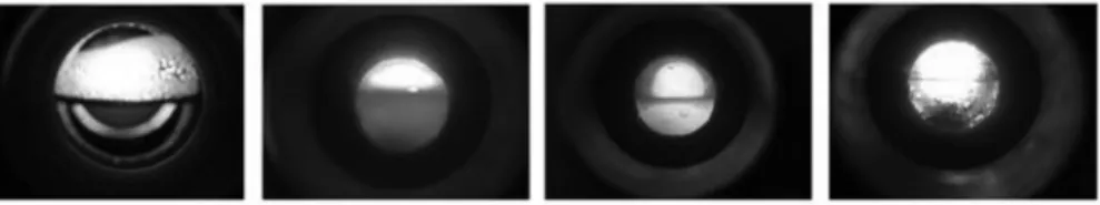 Fig. 5. Behavior of cobalt using scCO 2 -extractant in extraction cell.