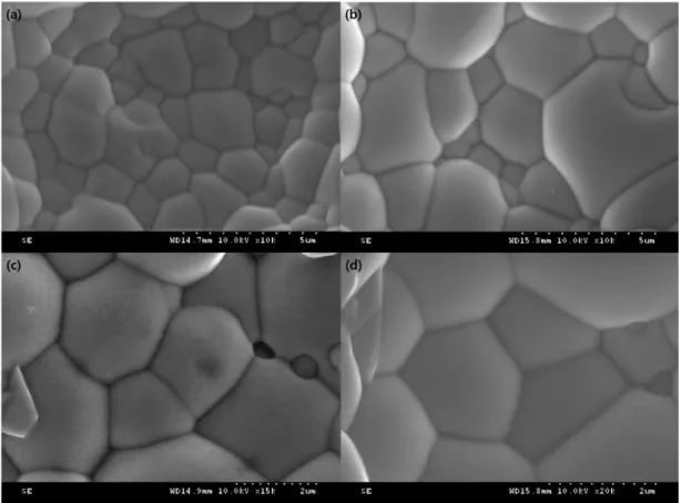 Fig.  1.  SEM  images  of  Nb 5+ and  Ta 5+ substituted  BaTiO 3 .  (a)  Ba 0.95 Nb 0.05 TiO 3 ,  (b)  Ba 0.90 Nb 0.10 TiO 3 ,  (c)  Ba 0.95 Ta 0.05 TiO 3 ,  and  (d)  Ba 0.90 Ta 0.10 TiO 3 .