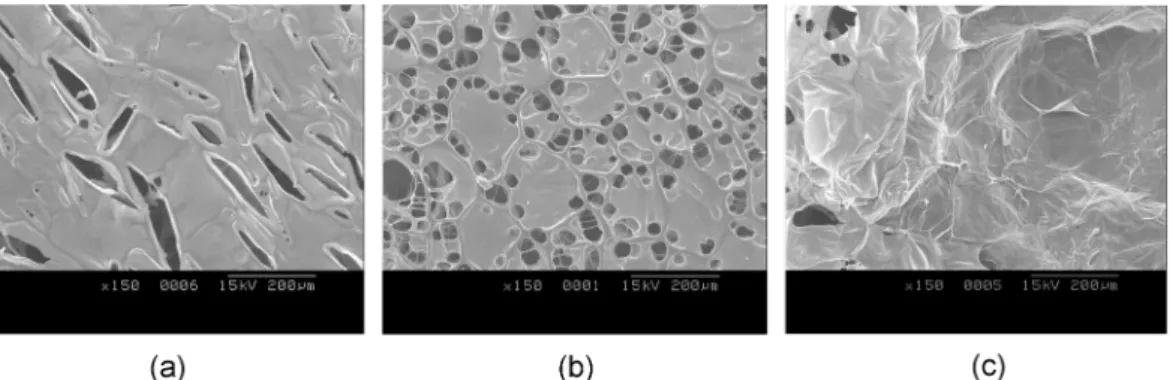 Fig . 4. Cross-sectional SEM images of Chitosan-Alginate-Gelatin scaffolds. (a) Control scaffold, (b) Heat-treated scaffold and (c) Cross-linked scaffold (original magnification of ×80).