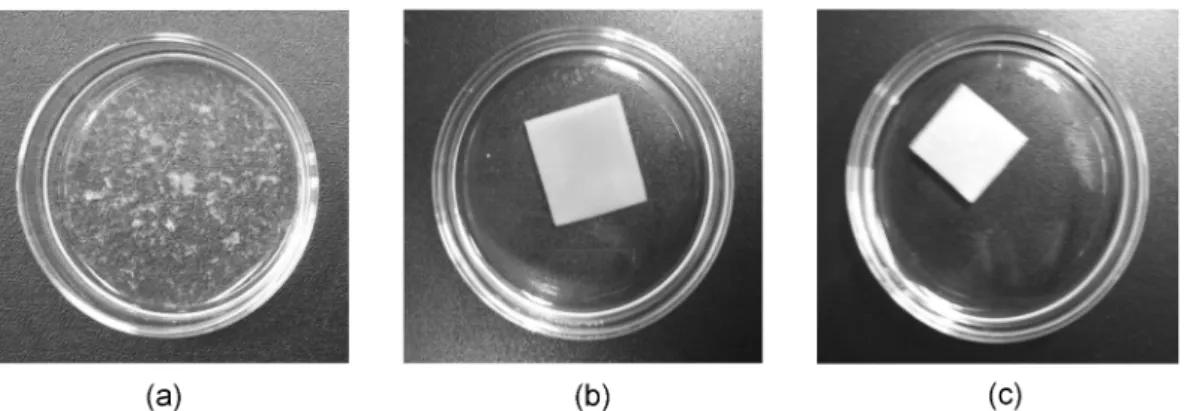 Fig . 5. Morphology of Chitosan-Alginate-Gelatin scaffolds in PBS buffer solution at 37 o C after 3 hours incubation