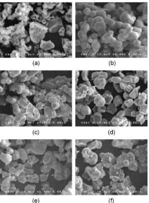 Fig . 5. SEM photographs of Y 1.98 M 0,01 Ce 0.01 SiO 5  prepared by solid state reaction method: (a) commercial, (b) Nd 2 O 3 , (c) Lu 2 O 3 , (d) Li 2 CO 3 , (e) La 2 O 3 , (f) Gd 2 O 3 .
