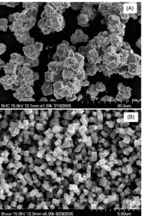 Fig . 6. XRD pattern of CuO obtained by reaction of NaOH with Cu 2 (OH) 3 (CH 3 COO)·H 2 O at 75 o C.