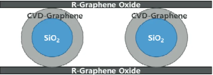 Fig.  1.  Schematic  diagram  of  RGOGB  composite.