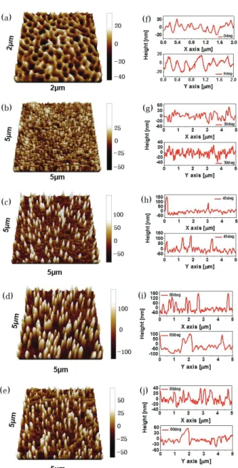 Fig. 3. 2D-FFT images of PEN surface extracted from  AFM data (a) 0°, (b) 30°, (c) 45°, (d) 60°, (e) 80°