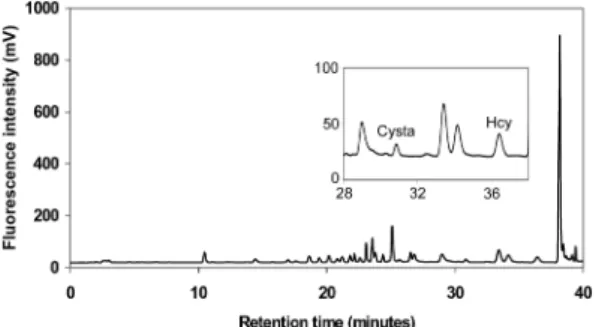 Fig . 7. Chromatogram of Cysta and Hcy derivatized with AQC from hydrolyzed blood sample.