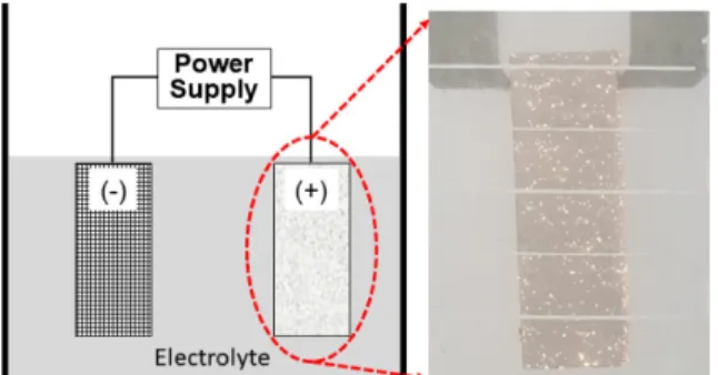 Table 1. List of experiment conditions of PEO process Condition Electrolyte  Composition Voltage(V) Time (mins) 1 No additive 250 10225030330010 4 300 20 5 300 30 6 2 g/L additive 250 10725030830010 9 300 20 10 300 30 11 4 g/L additive 200 30