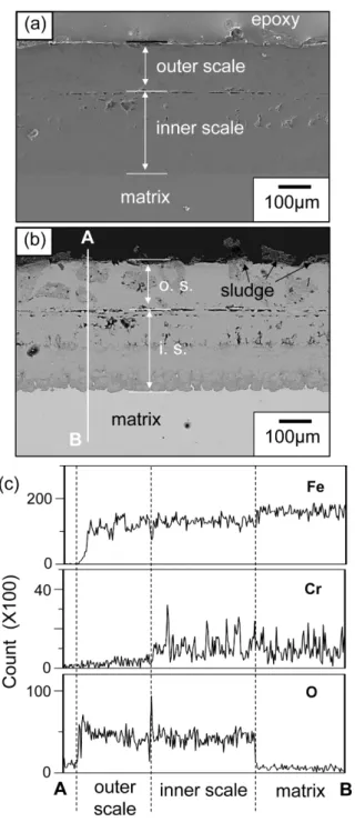 Fig. 4. T22 ferritic steels at 750 o C for 100h in sewage sludge-(0.3% SO 2 -6% O 2 -10% H 2 O-balance CO 2 ) mixed gas condition