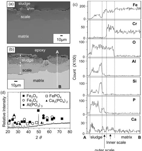 Fig. 6. STS430 ferritic steels at 750 o C for 100h in sewage sludge-(0.3% SO 2 -6% O 2 -10% H 2 O-balance CO 2 ) mixed gas condition