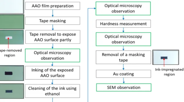 Fig. 1. Experimental procedure for the observation of surface morphology and hardness measurement of anodic oxide films on AA2024, based on an ink-impregnation method.