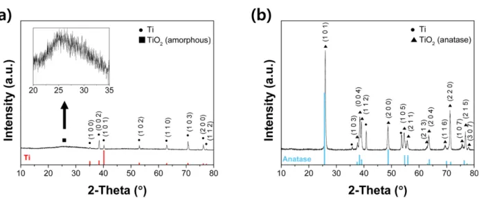 Fig. 2. XRD patterns of (a) as-prepared and (b) thermally treated TiO 2  nanotube arrays