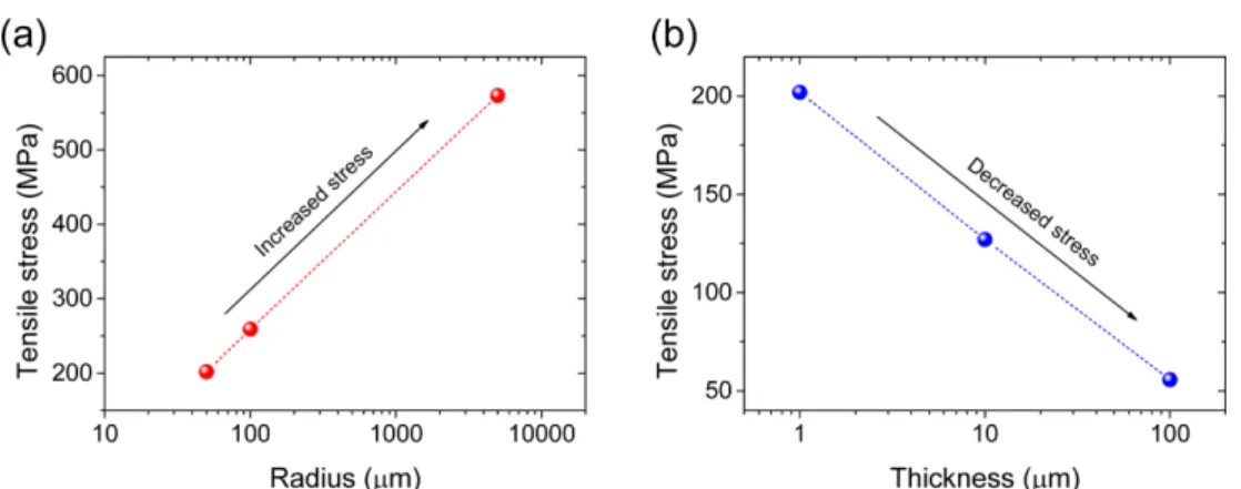 Fig. 5. (a-c) Top view and (d-f) cross-sectional view of SEM images for Sample A(VDR), Sample B (CVD), and Sample C (CVD), respectively.
