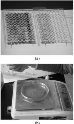 Fig . 3. Acid rain experiment (a) and experiment equipment for gas diffusion (b).