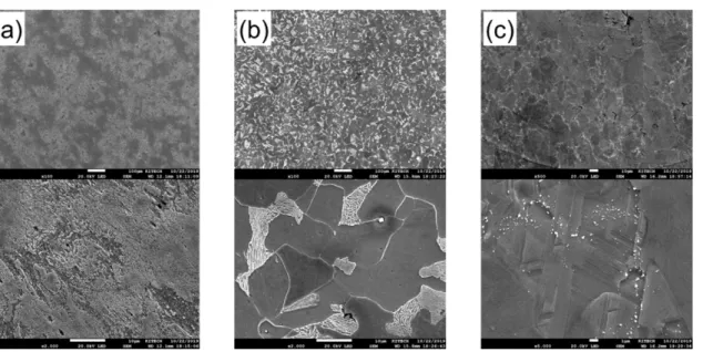 Fig. 2. Potentiodynamic polarization curves of (a) rebar, (b) S400 and (c) Fe-based shape memory alloy in de- de-ionized water with variation of pH adjusted by CaO.