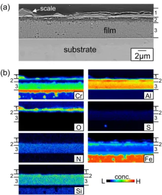Fig. 4 shows EPMA results of the film after corrosion at 900 o C for 150 h. The oxide scale grew to ~1 μm in thickness (Fig