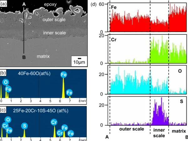 Fig. 5. Fe-9Cr-2W steel samples after corrosion at 600 o C for 100h in (Na 2 SO 4 -K 2 SO 4 -Fe 2 O 3 )-(CO 2 -0.3%SO 2 -6%O 2 ) mixed gas