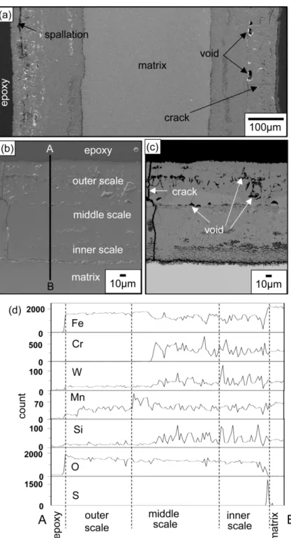 Fig. 6. EPMA analysis on the scale formed on Fe-9Cr-2W steel samples after corrosion at 800 o C for 100 h in (Na 2 SO 4 -K 2 SO 4 -Fe 2 O 3 )-(CO 2 -0.3%SO 2 -6%O 2 ) mixed gas