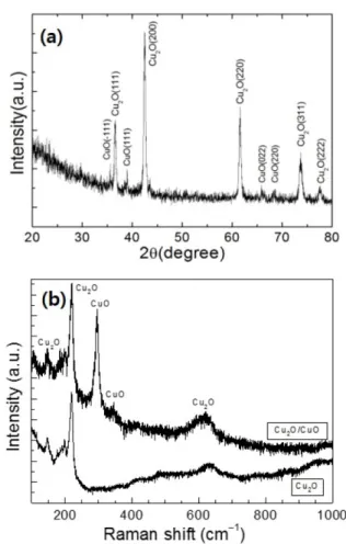 Fig. 3. (a) X-ray diffraction pattern of CuO nanorods/