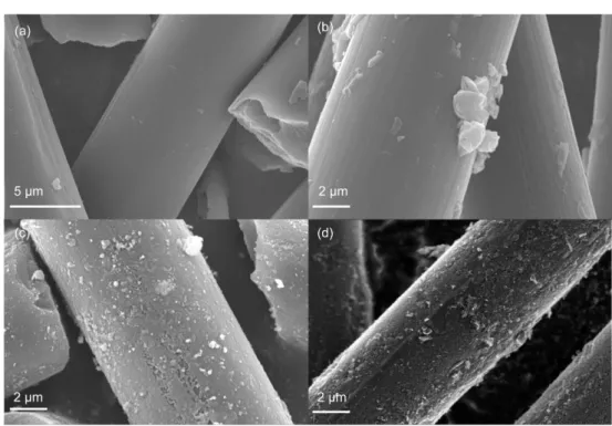 Fig. 2. SEM image of (a) H 2  GF. EDS images show surface elements of H 2  GF (b) C, (c) O, (d) Co 