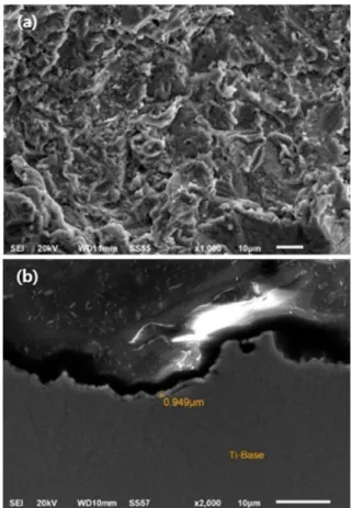 Fig. 3. FE-SEM images of the surface (a) and cross section (b) of TiN x  deposited on Ti substrate.