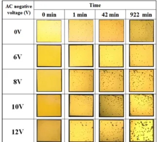 Fig. 4. Light emitting image of OLED with AC negative voltage application time.
