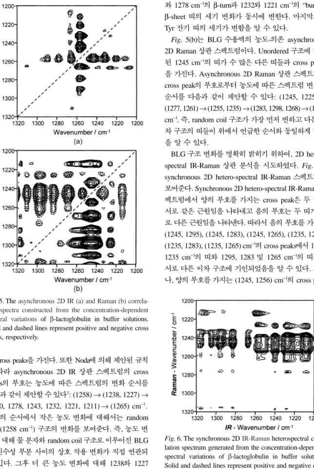Fig. 5. The asynchronous 2D IR (a) and Raman (b) correla- correla-tion spectra constructed from the concentracorrela-tion-dependent spectral variations of  β -lactoglobulin in buffer solutions.