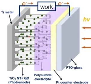 Fig. 1 Schematic device structure of quantum dot- dot-sensitized solar cells employing a TiO 2  nanotube electrode with a semitransparent Pt counter electrode