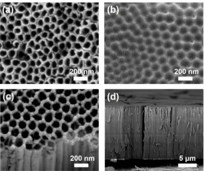 Fig. 3 (a) Photographs of the Pt precursor solutions and Pt-coated FTO glasses according to the concentration of Pt precursor solution
