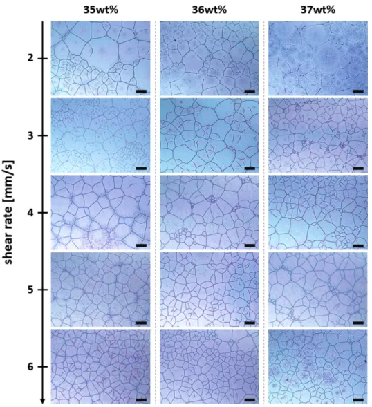 Fig. 5. Effects of shear rate and concentration of MHP precursor solutions on the grain growth