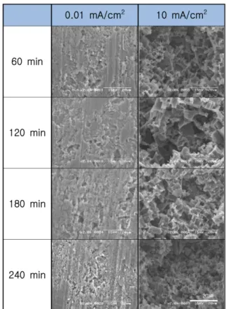 Fig. 7. Weight loss after galvanostatic experiment at current density of 10 mA/cm 2  with various applied time in seawater.