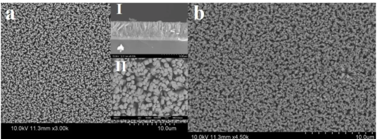Fig. 3 XRD patterns of TiO 2  NRAs, and carbon-coated TiO 2  NRAs.