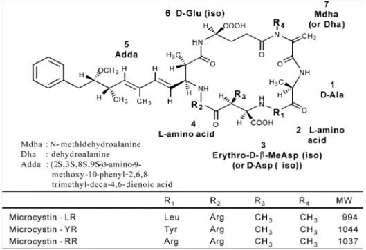 Fig. 1. Structures of Microcystins.